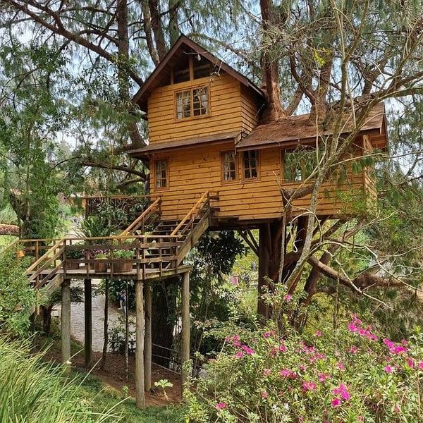 Découvrez les Meilleurs Endroits pour Dormir dans une Cabane dans les Arbres dans le Calvados
