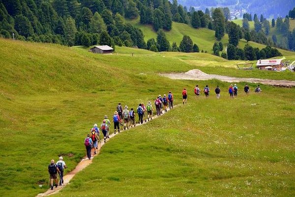 Le Guide Ultime pour Découvrir les Sentiers Incontournables de Randonnée en Normandie